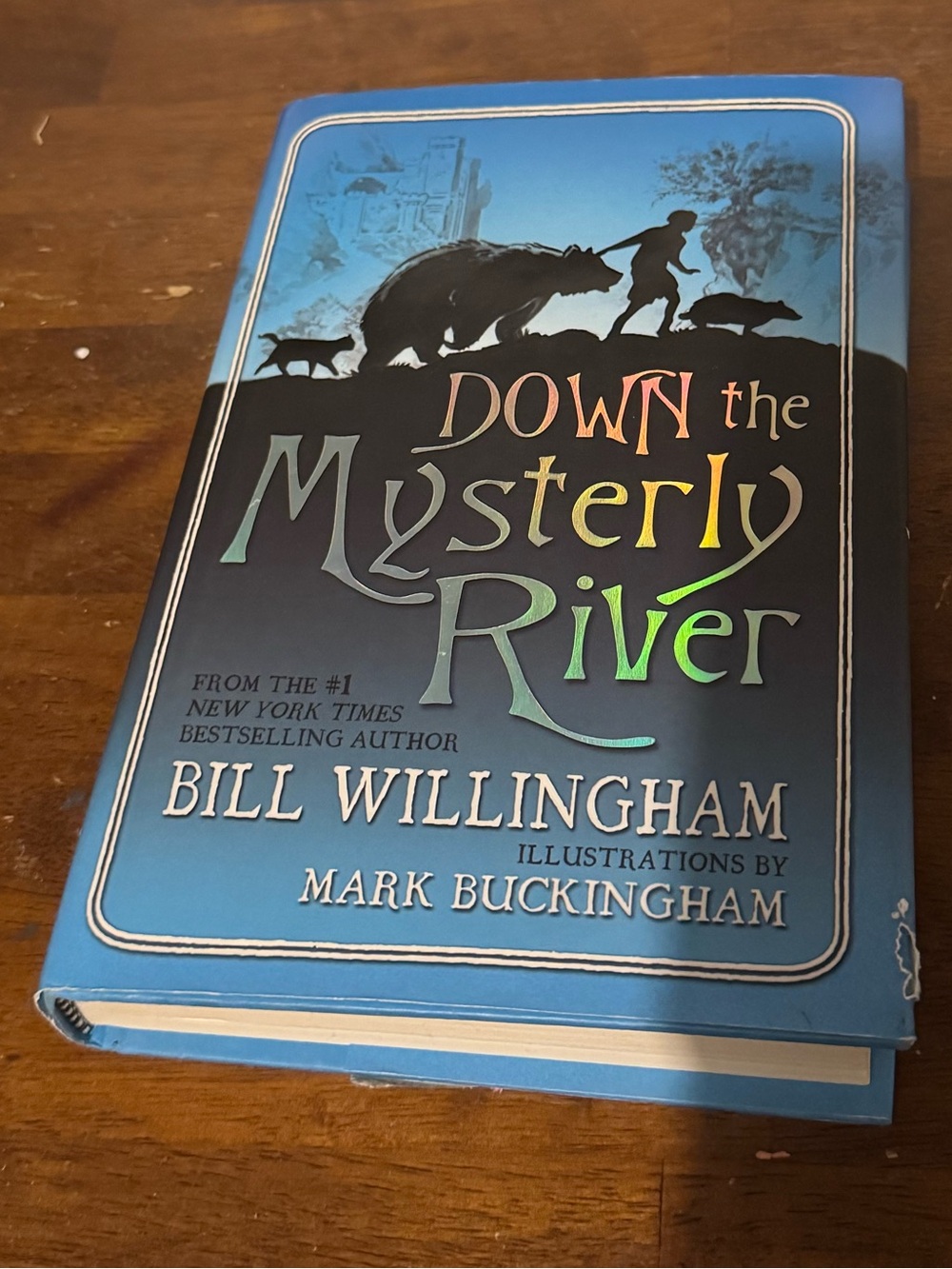 Down the Mysterly River by Bill Willingham - Blue Hardcover